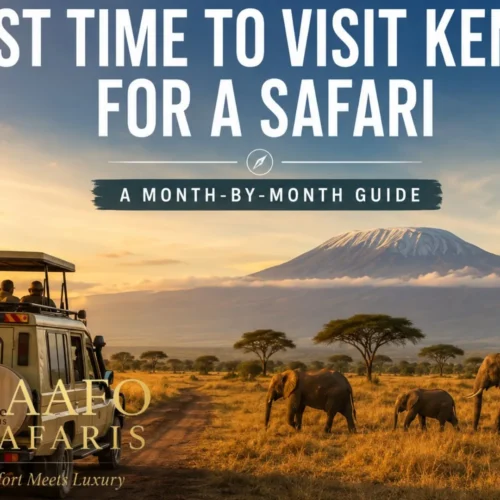 Best time to visit kenya for safari month by month