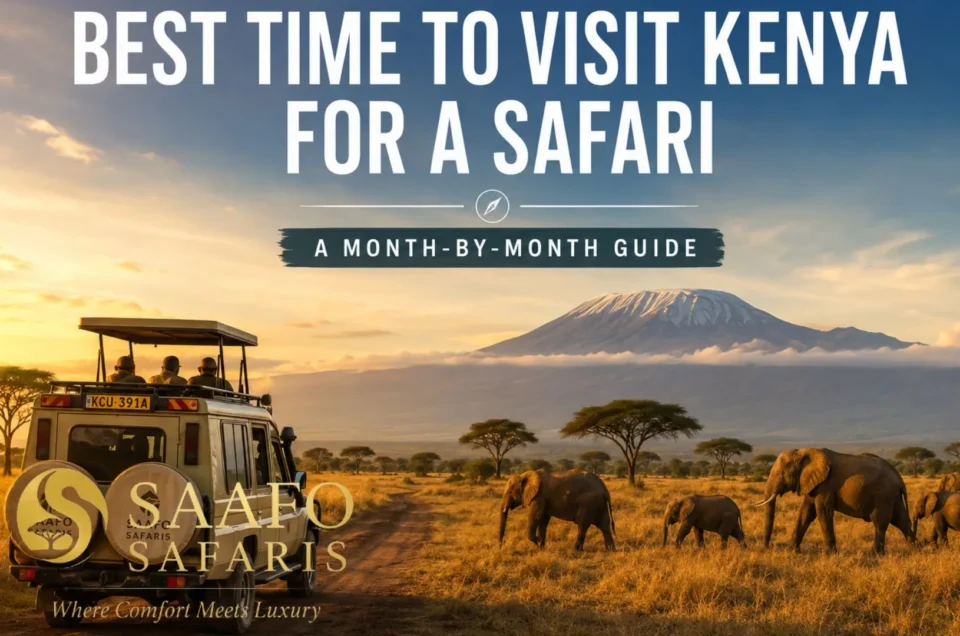 Best time to visit kenya for safari month by month