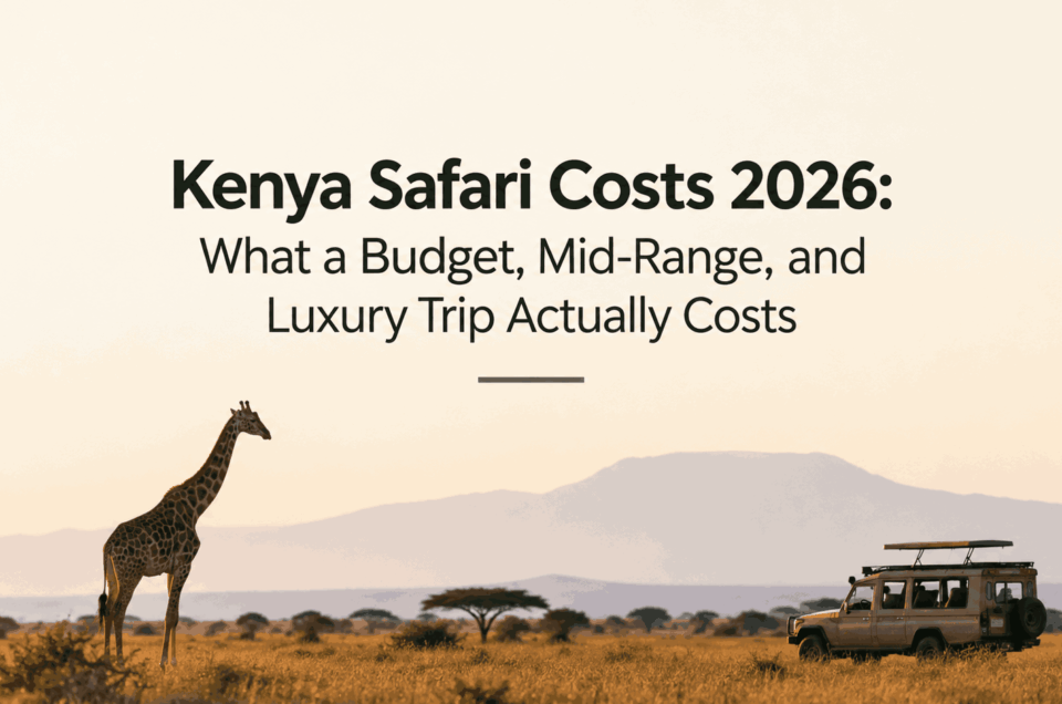 Kenya Safari Costs 2026: What a Budget,  Mid-Range, & Luxury Trip Actually Costs