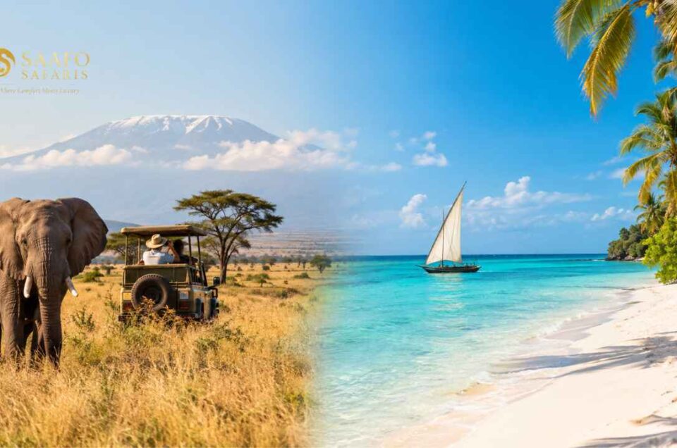 Zanzibar Beach Holiday After a Safari: How to Combine Both