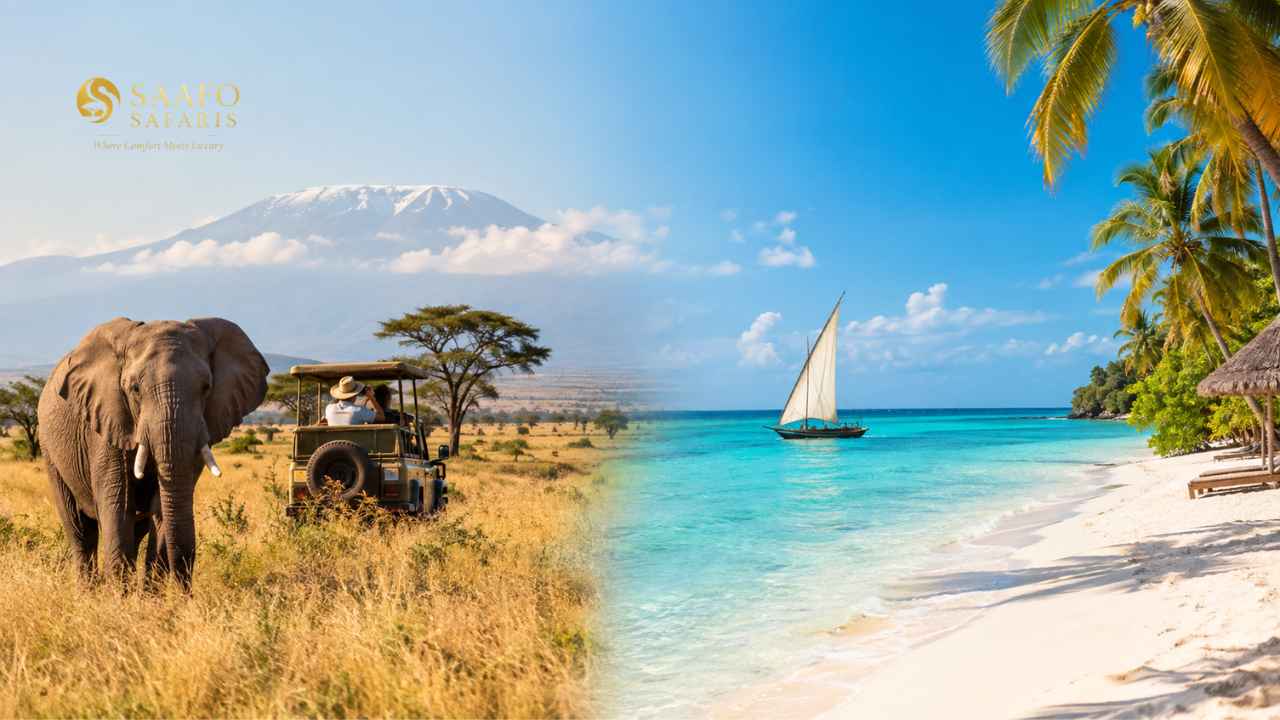 Zanzibar Beach Holiday After a Safari: How to Combine Both