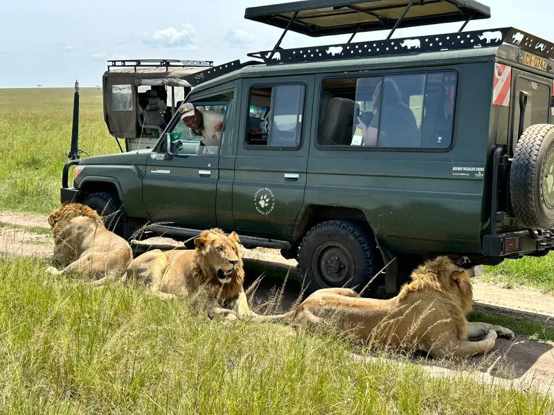 Saafo Safaris Land Cruiser on an Amboseli safari for residents